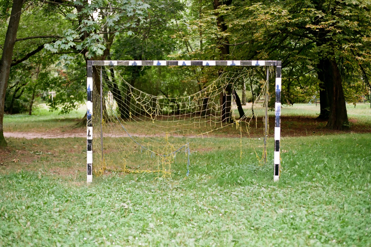An empty football goal among trees